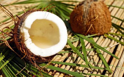 Kokosöl – vom Superfood zum Supergift?