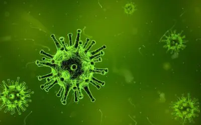 COVID-19: Gibt es natürliche Mittel gegen Erkältung und Grippe?